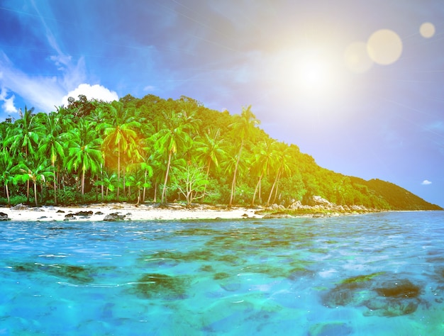 写真 インド洋の環礁と熱帯の島のパノラマ。ヤシの木が生い茂る無人の野生の亜熱帯の島。青い澄んだ海の水。自然の風景。旅行の背景。休日と休暇の概念