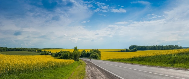 Panorama op de weg prachtig uitzicht op gele en groene velden en blauwe lucht