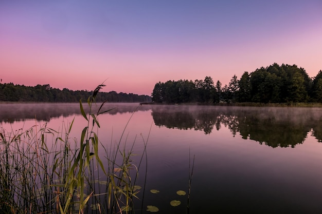 Panorama op enorm meer of rivier in de ochtend met prachtige geweldige roze zonsopgang