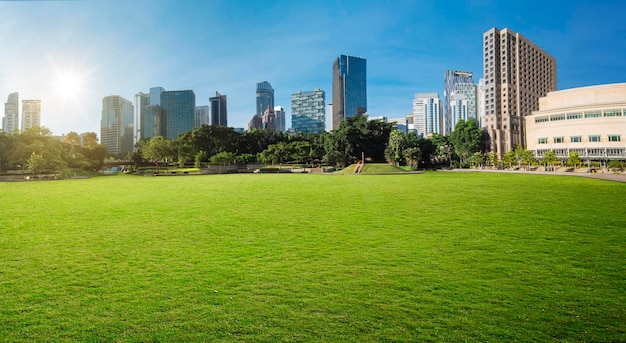 Panorama prachtige parkscène met groen grasveld