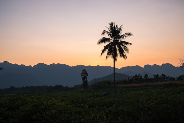 Panorama scenery of Mountain landscape 
Beautiful background of mountains ranges at sunset