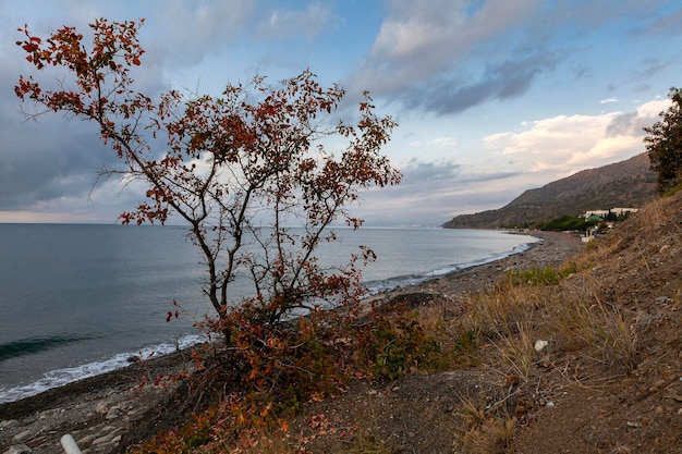 Panorama of the seascape of the Crimean peninsula...
