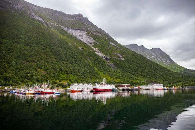 panorama of senja island, norway, overlooking the small island of husoy and its harbour, fjords