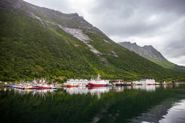 フソイの小さな島とその港、フィヨルドを見下ろす、ノルウェーのセンジャ島のパノラマ