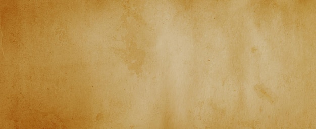 Panorama shot of old paper texture Paper vintage background