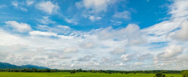 Panorama of sky and hills covered with trees