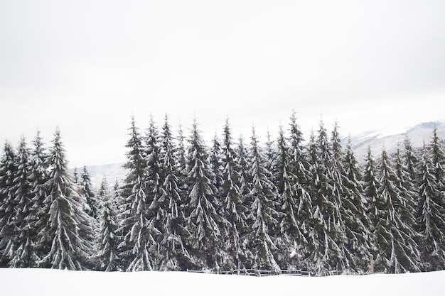 Photo panorama of snow-capped mountains, snow and clouds on the horizon