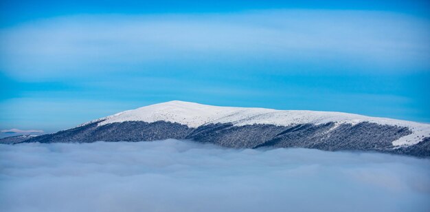 雪と青空と雪山冬の森の風景のパノラマ