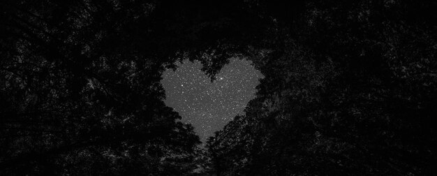 Un panorama notte di primavera alberi della foresta al centro del cuore il giorno di san valentino