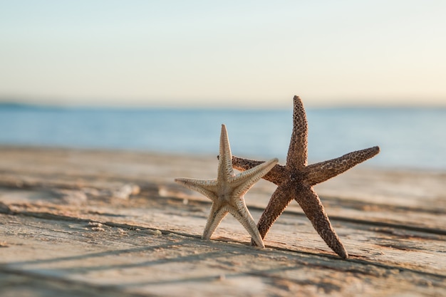 Panorama of summer beach with starfish and blue sea surface Landscape of tropical summer Summer vacation concept