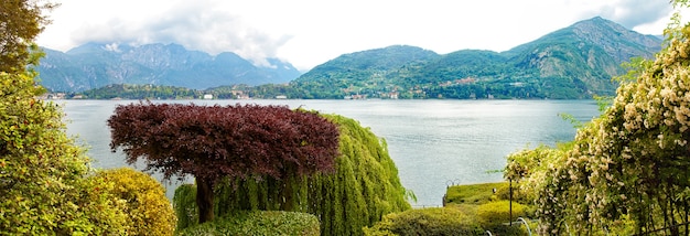 Panorama della foresta estiva sullo sfondo del lago di como italiano