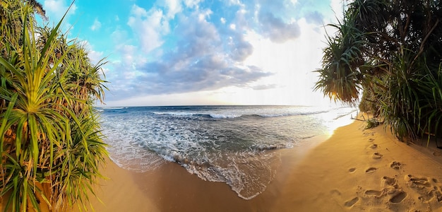 Foto panorama della spiaggia di sabbia soleggiata spiaggia dell'oceano tropicale