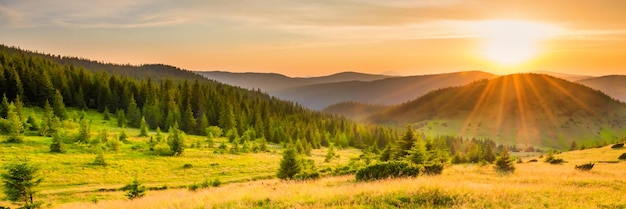 森の緑の草と劇的な空に大きな輝く太陽と山の夕日のパノラマ