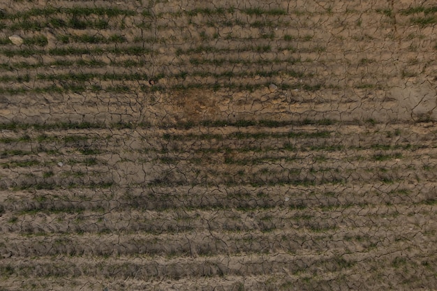 Panorama of surface from above agro field surface with cracks