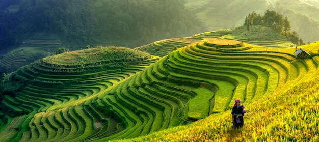 Символ панорамы вьетнамских рисовых террас, Mu cang chai. Yenbai, Вьетнам.