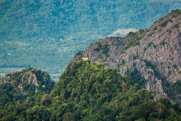 パノラマ美しい森の風景の日の出霧の山頂の風景