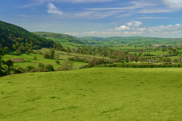 Photo panorama over typical english or welsh farming country