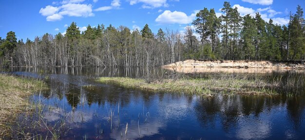 Panorama van de bronrivier in het nationale park