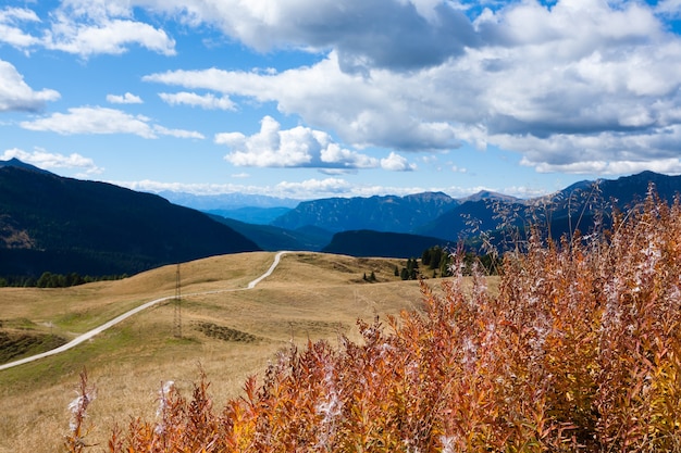 Panorama van de Italiaanse Alpen van de mening van de Dolomieten van San Martino di Castrozza