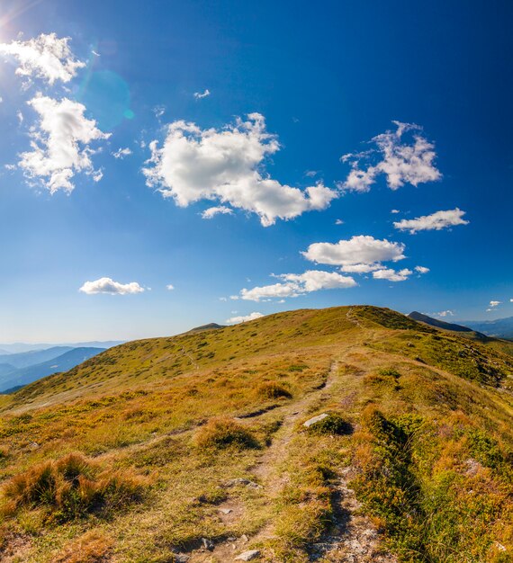 Panorama van de Karpaten in de zomer zonnige dag.