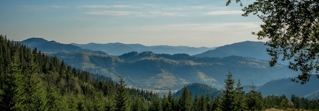 Panorama van de Karpaten in zonnige zomerdag