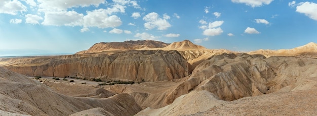 Panorama van de kloof van de gedroogde rivierbedding van de OG-rivier in de buurt van de Dode Zee in Israël