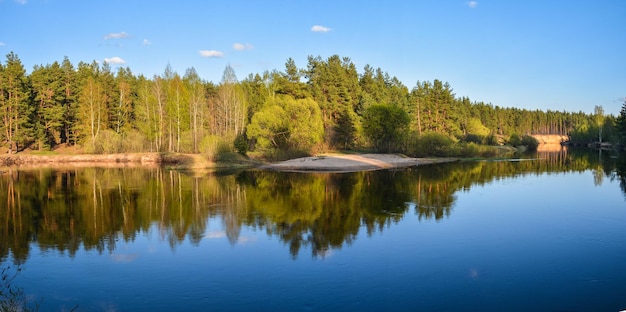 Panorama van de lente bos rivier