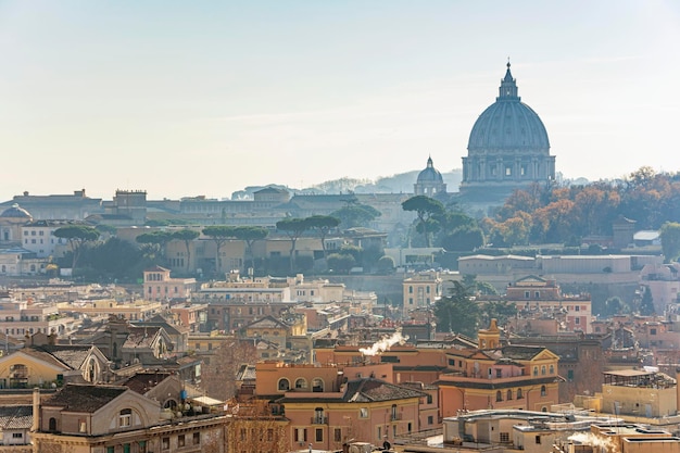 Panorama van de Sint-Pietersbasiliek in Vaticaan Rome