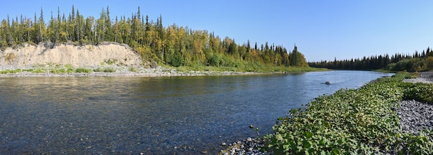 Panorama van de taiga-rivier in de Republiek Komi