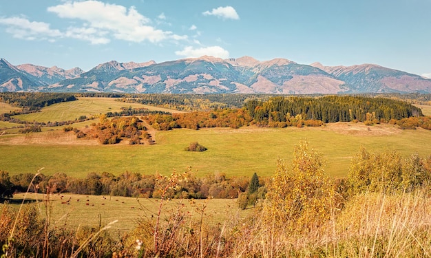 Panorama van de toppen van de Hoge Tatra op herfstdag gezien vanaf Vychodna