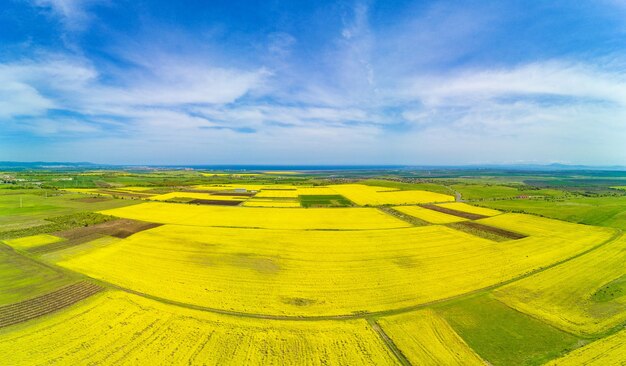 Panorama van de velden met een plant in een vallei tegen de achtergrond van het dorp en de lucht in Bulgarije