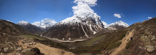 Panorama van de weg van het dorp samdo naar de larke-pas tussen de toppen van de himalaya in de regio manaslu