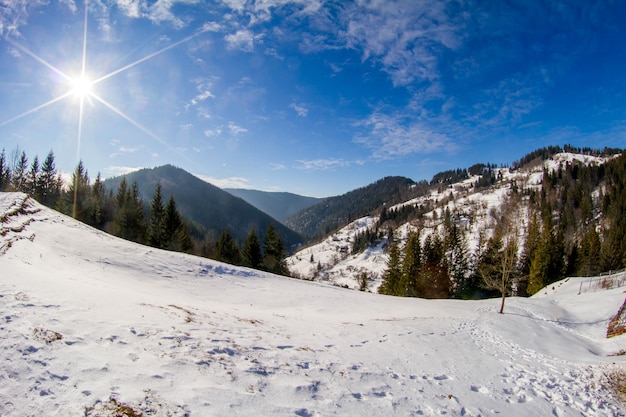 Panorama van de winter bergen van de Karpaten en de zon