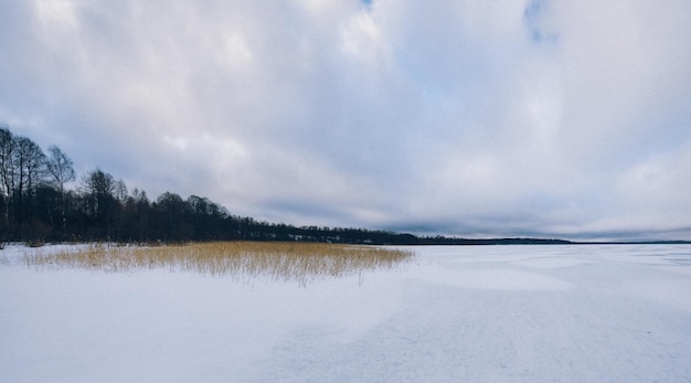 Panorama van een prachtig winterlandschap Veld met witte sneeuw en ijs aan de horizon Licht en luchtig gevoel