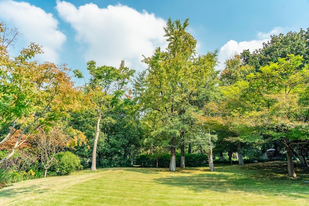 Panorama van groot stadspark