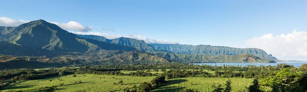 Panorama van Hanalei op het eiland Kauai