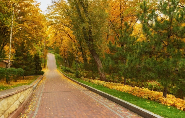 Panorama van het fragment van het park in Mezhyhiria