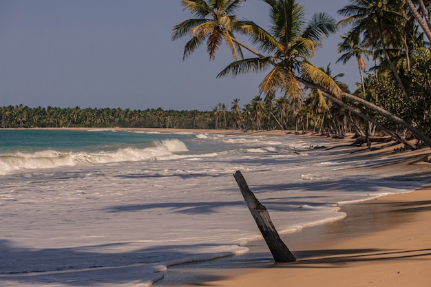 Panorama van het mooie en natuurlijke strand van Playa Limon in de Dominicaanse Republiek