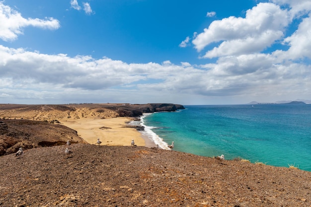 Panorama van het prachtige strand en de tropische zee van Lanzarote. Kanaries