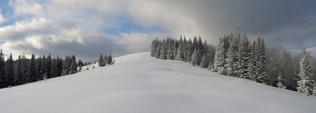 Foto panorama van het winterlandschap in de bergen van de karpaten