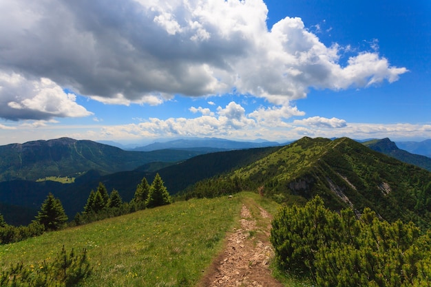 Panorama van Italiaanse alpen, mugo-dennen langs een bergwandelpad