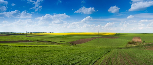 Panorama van lappendeken landbouwgronden vanaf de kant van een groen veld van wintertarwe in het vroege voorjaar