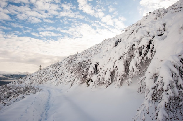 Panorama van met sneeuw bedekte bergen, sneeuw en wolken aan de horizon