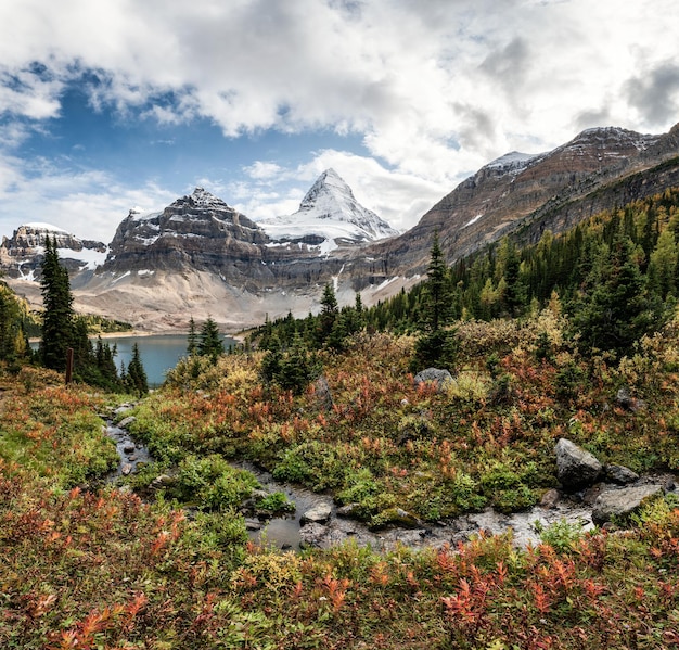 Panorama van Mount Assiniboine met Lake Magog op herfstbos in het provinciale park BC Canada