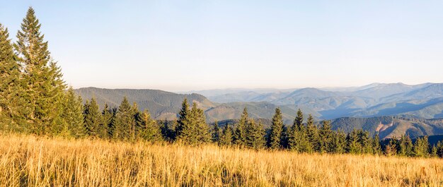 Panorama van ochtend zonsopgang in de bergen en zonovergoten weide