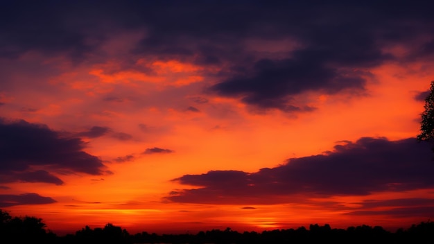 Panorama van oranje zonsonderganghemel met felle zon