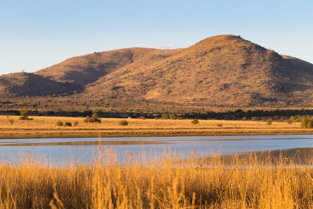 Panorama van pilanesberg national park, zuid-afrika. droog gras bij schemering. safari in afrika