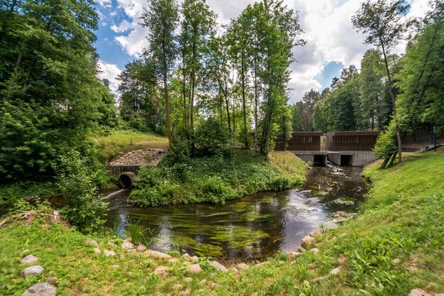 Panorama van prachtig landschap van snelle stroomrivier in bos