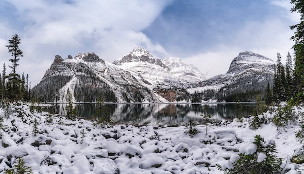 Panorama van Rocky Mountains met sneeuw bedekt in de winter bij Lake Ohara, Yoho National Park