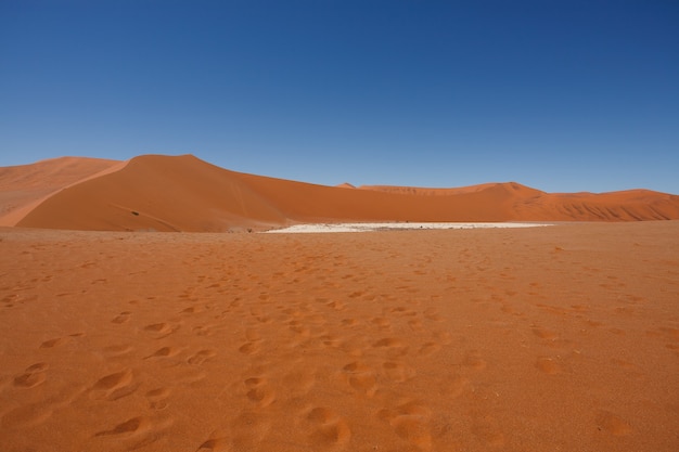 Panorama van rode duinen van Hidden Vlei, Sossusvlei Namibië